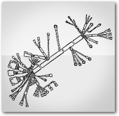 ELECTRICAL COMPONENTS